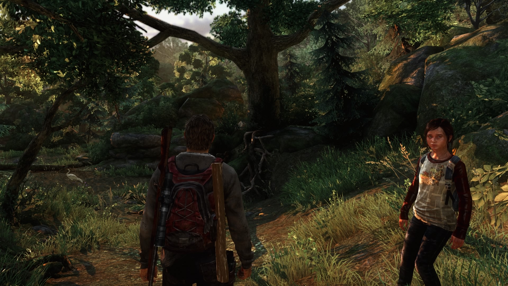 the last of us wald